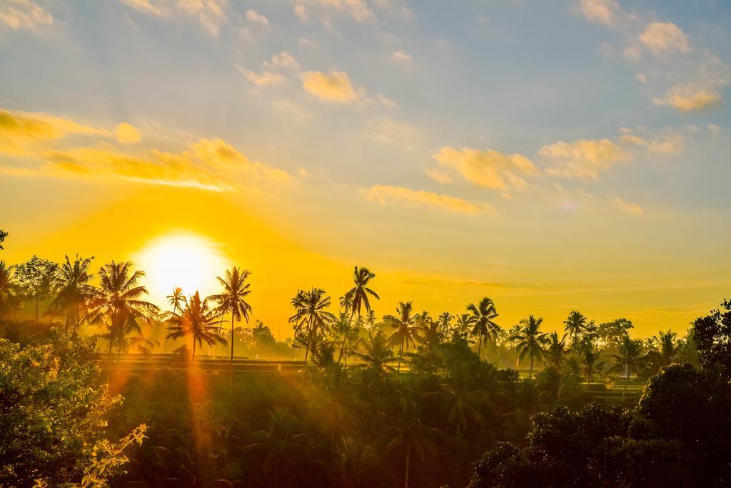 Griya Sriwedari Hotel Ubud Eksteriør billede