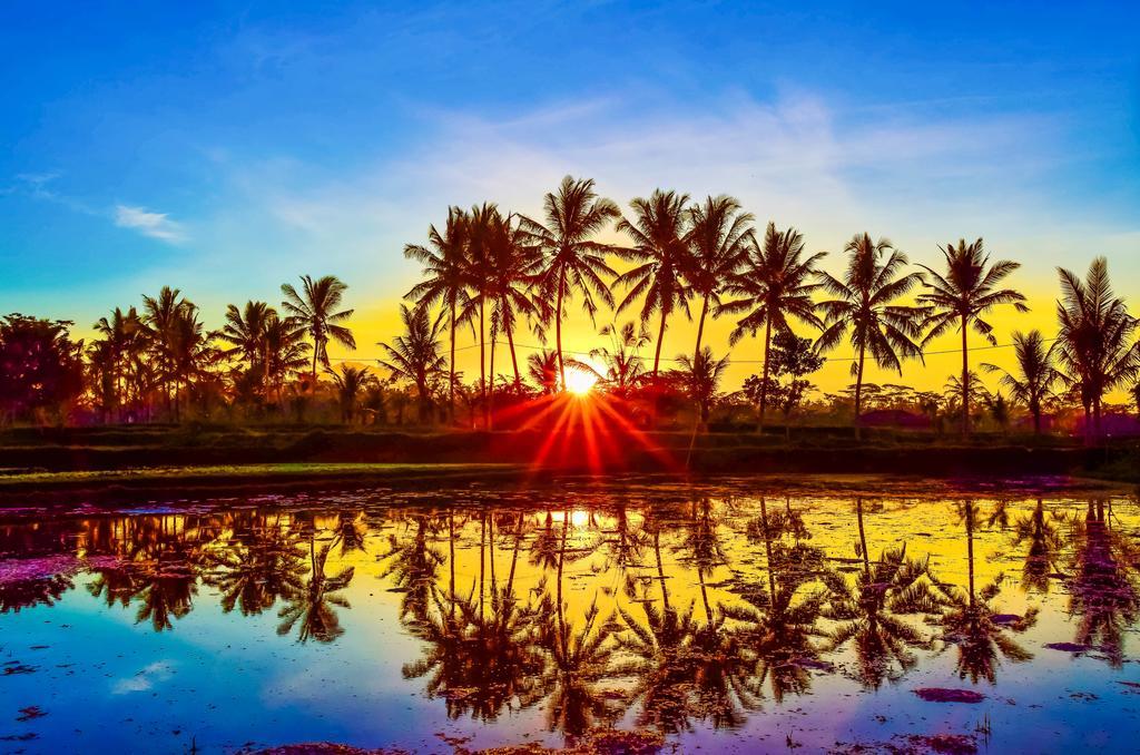 Griya Sriwedari Hotel Ubud Eksteriør billede
