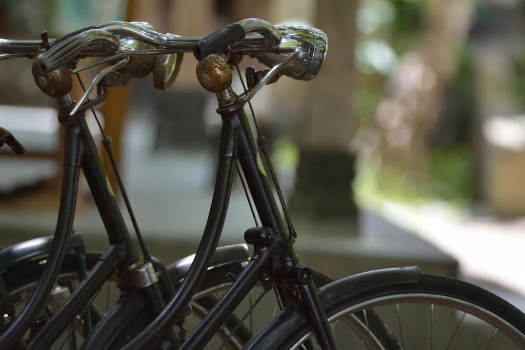 Griya Sriwedari Hotel Ubud Eksteriør billede