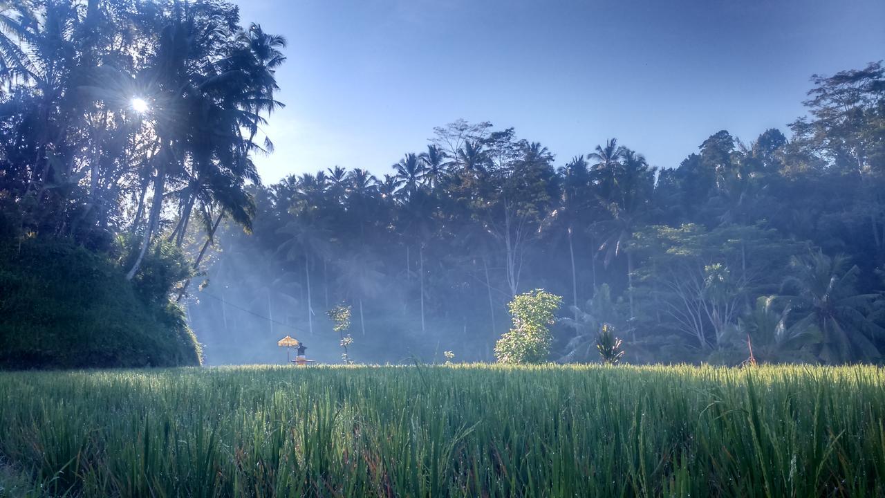 Griya Sriwedari Hotel Ubud Eksteriør billede