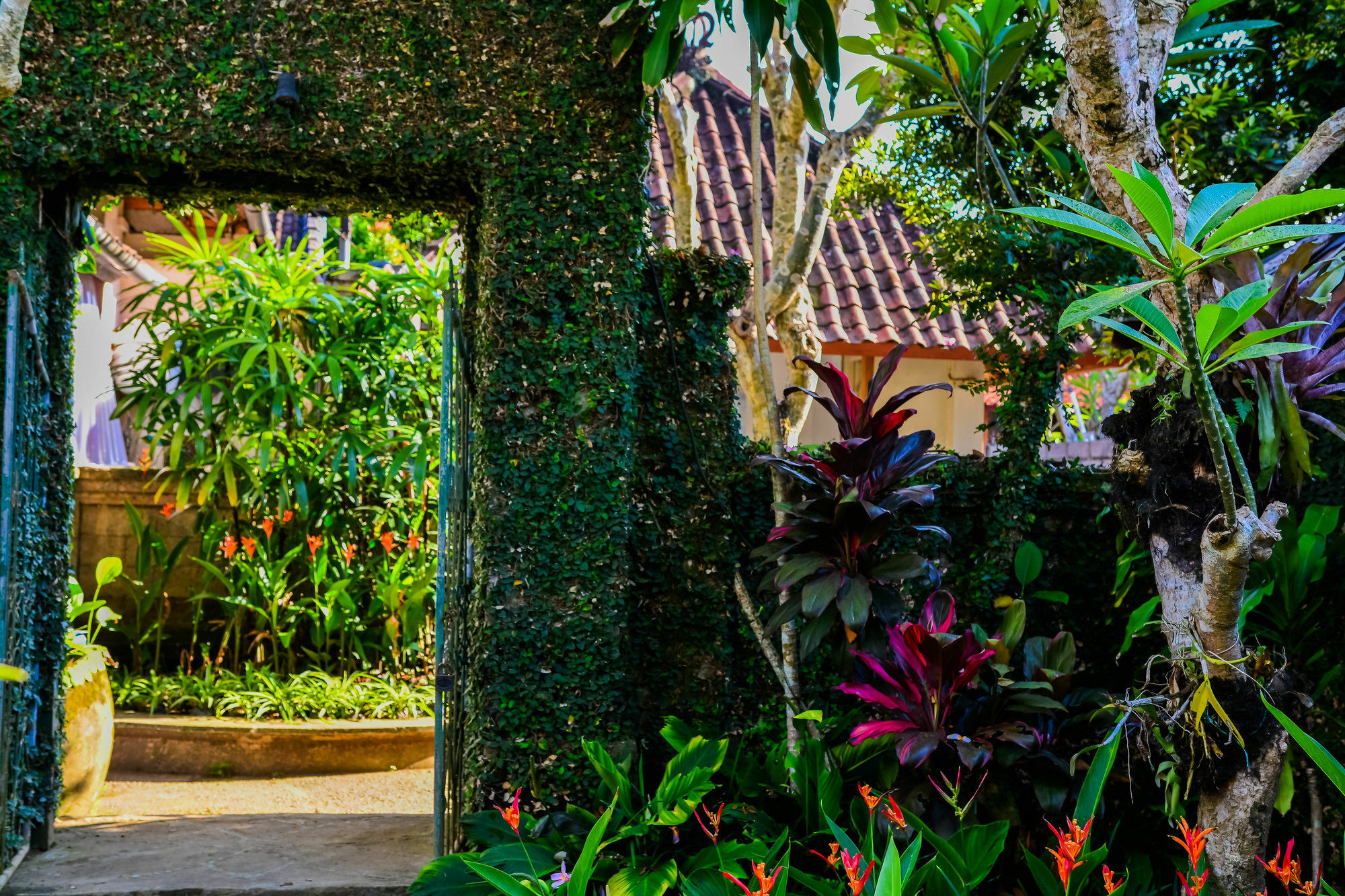 Griya Sriwedari Hotel Ubud Eksteriør billede