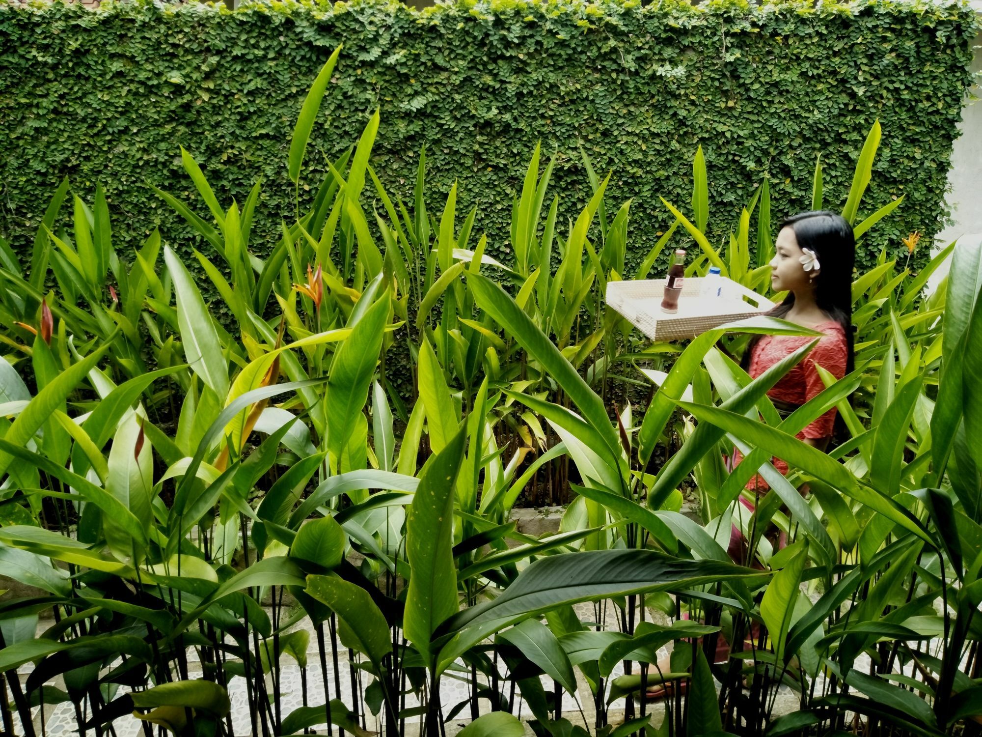 Griya Sriwedari Hotel Ubud Eksteriør billede